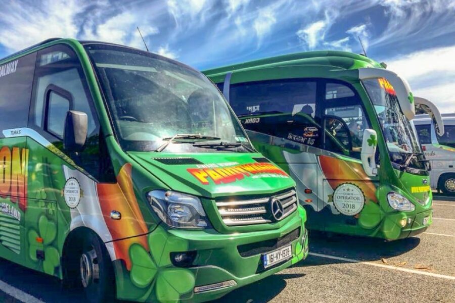 From Dublin: Connemara and Galway Full-Day Tour - Glengowla Family Farm Experience & Silver Mines: the working-farm show