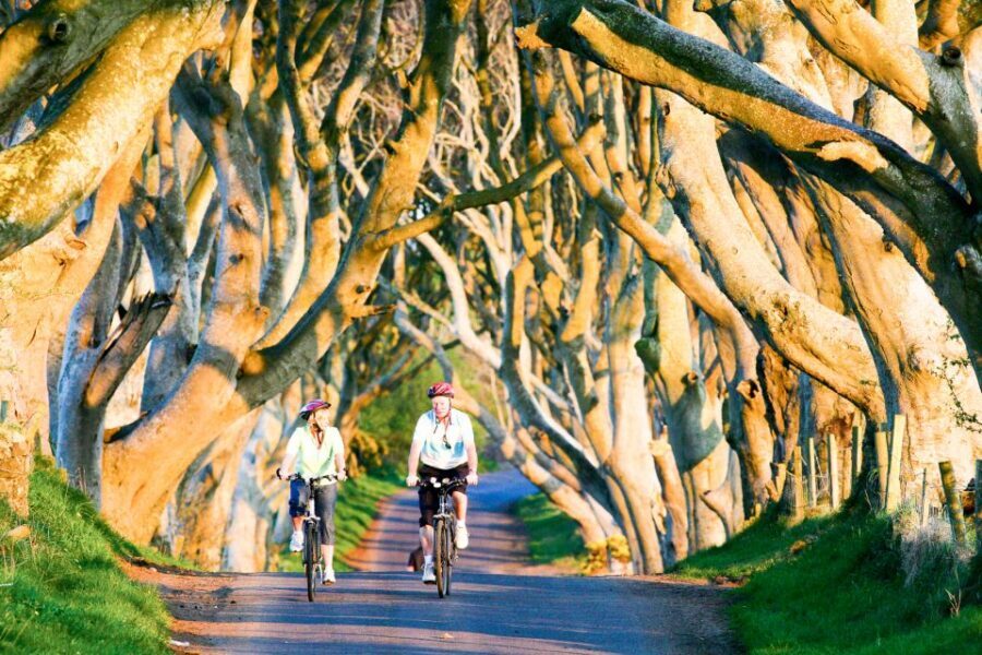 From Dublin: Giant's Causeway & Belfast Titanic with Ticket - Price and logistics: what $124 really buys you
