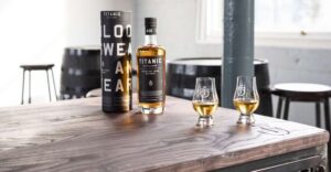 From Dublin: Giant's Causeway Tour and Whiskey Tasting - Dunluce Castle ruins: the cliff-stop that frames the whole coast