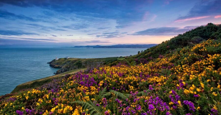 From Dublin: Half-Day Guided Coastal Tour to Howth Village - The bus ride portion: where the guide sets context
