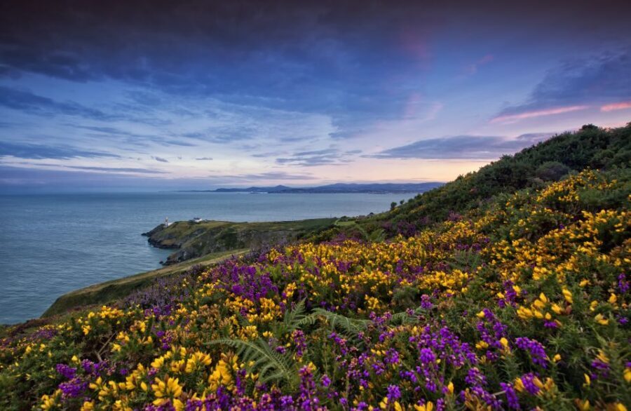 From Dublin: Half-Day Guided Coastal Tour to Howth Village - Meeting at 13 O’Connell Street Upper and the two daily departures