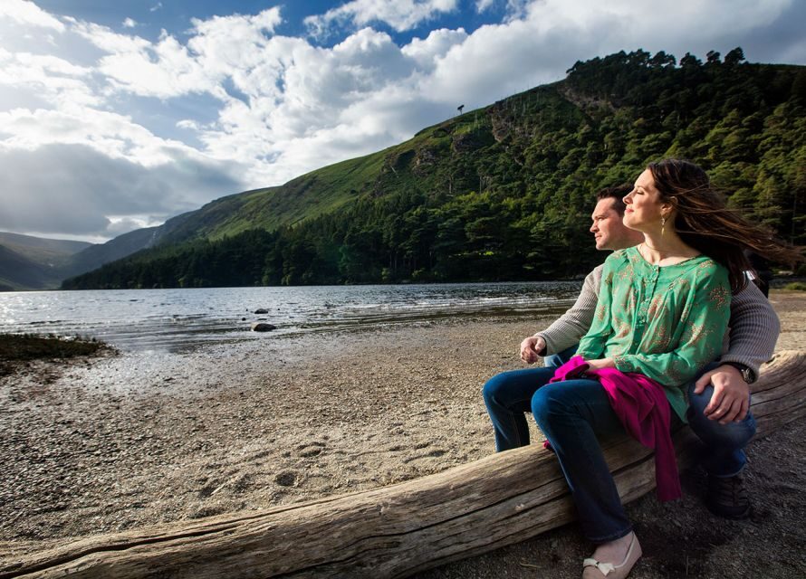 From Dublin: Half-Day Trip to Glendalough and Wicklow - Dublin pickup and the quick tour of County Wicklow’s approach