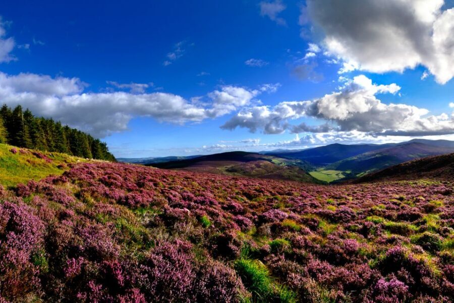 From Dublin: Wicklow Mountains, Glendalough & Kilkenny Tour - Key Things I’d Circle Before You Book
