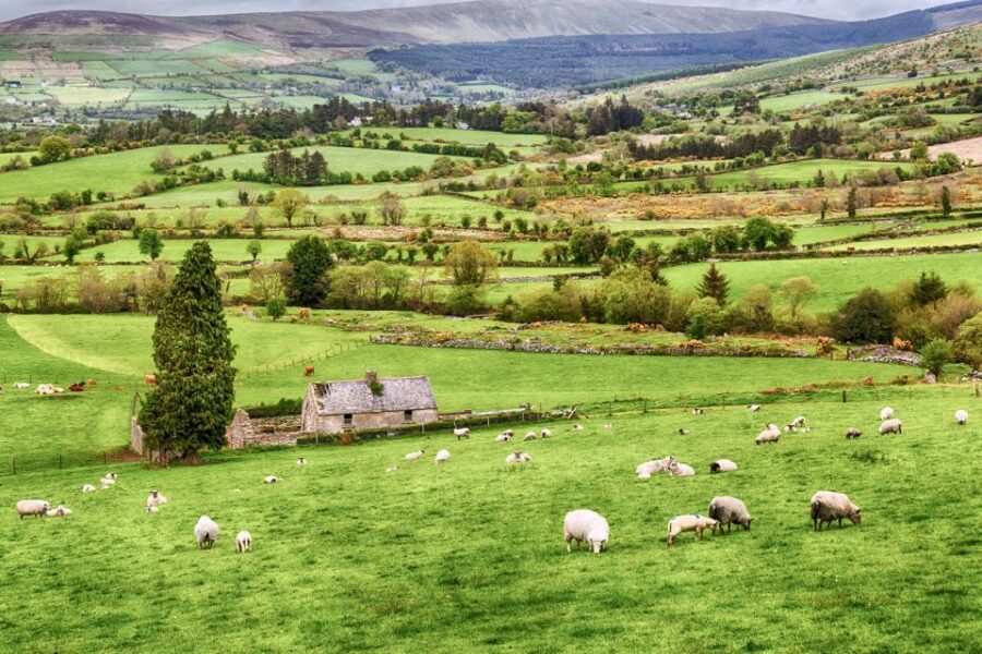 From Dublin: Wicklow Mountains, Glendalough & Kilkenny Tour - Value Check: Is It Worth Around $45?
