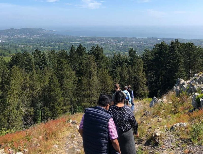From Dublin: Wicklow, Powerscourt, and Glendalough Day Tour - Wicklow Mountains National Park Stops: Sally Gap, Lough Tay, and PS I Love You