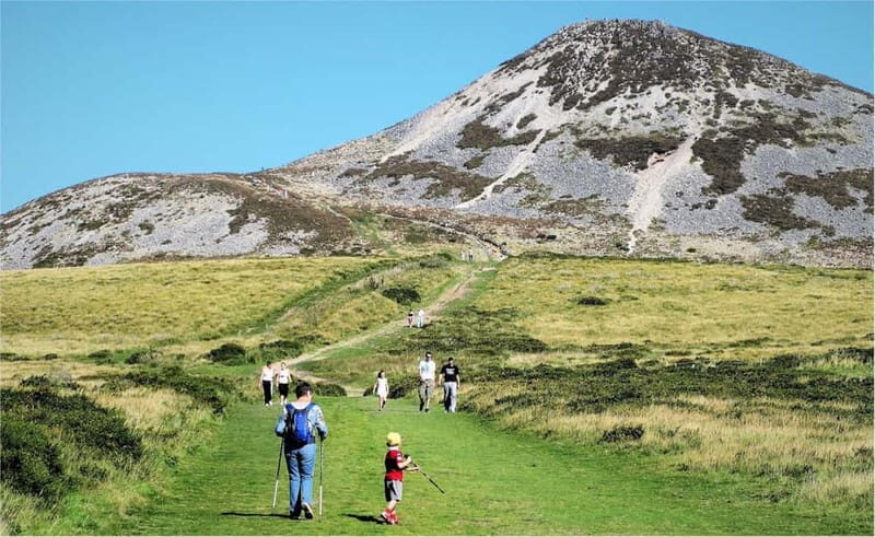 From Dublin: Wicklow, Powerscourt, and Glendalough Day Tour - How the Timing Flows (and Where You’ll Feel the Schedule)