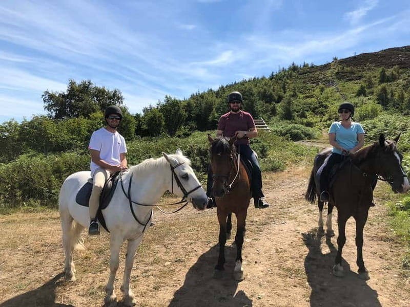 From Dublin: Wicklow, Powerscourt, and Glendalough Day Tour - Price and Value: Why $74 Can Work (Even With Extra Fees)