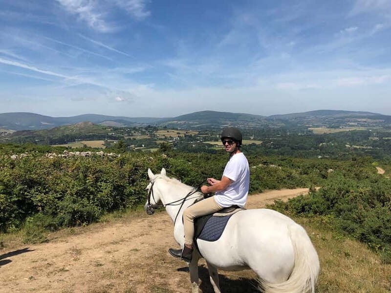 From Dublin: Wicklow, Powerscourt, and Glendalough Day Tour - Starting at the Molly Malone Statue (and What That Means for Timing)