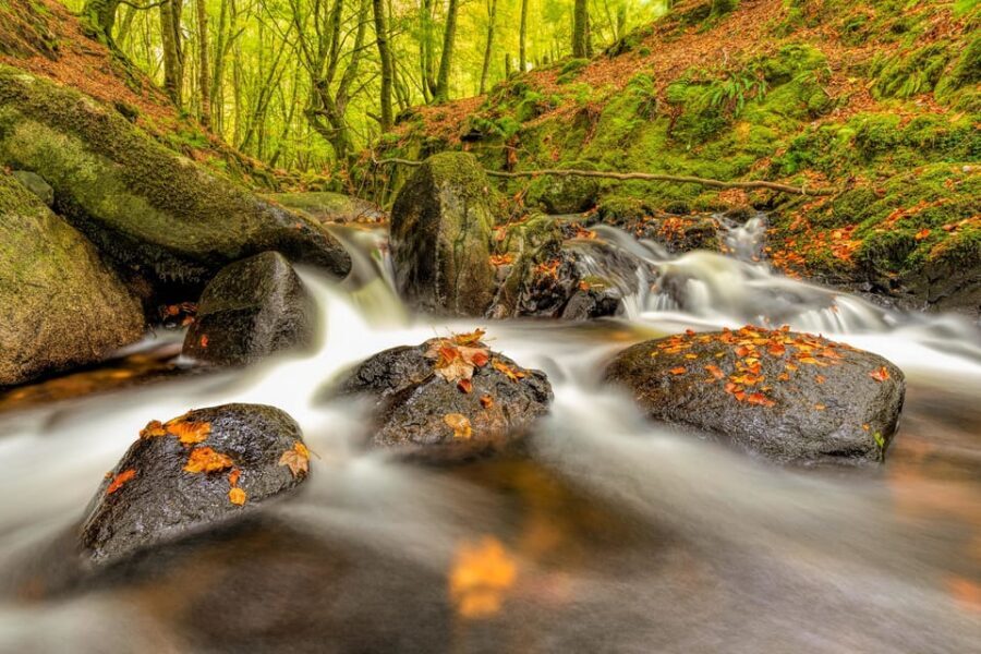From Dublin: Wild Wicklow Mountains and Glendalough Tour - Lough Tay (Guinness Lake): why the lakes steal the show