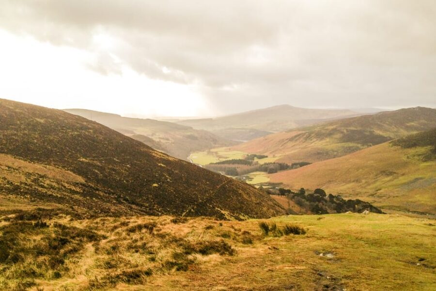 From Dublin: Wild Wicklow Mountains and Glendalough Tour - Glendalough: monastic ruins in a valley that feels hushed