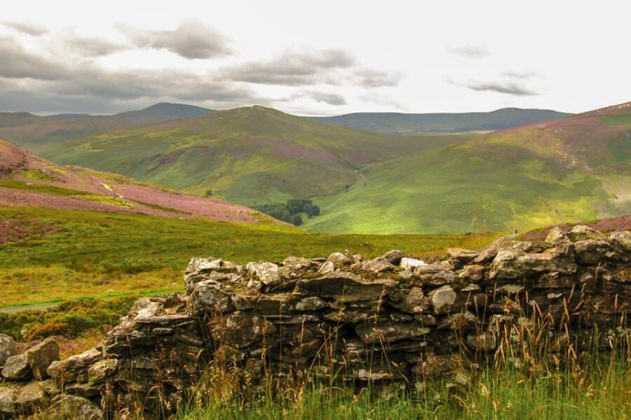 From Dublin: Wild Wicklow Mountains and Glendalough Tour - The complimentary Glendalough whiskey tasting