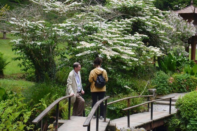 Full Day Private Wicklow Tour - Should You Book This Full Day Private Wicklow Tour?