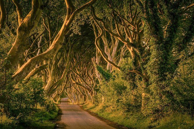 Giant Causeway, Dark Hedges & Whiskey Distillery tour from Dublin - Giant’s Causeway: walking among the basalt columns that look man-made