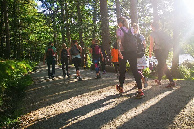 Glendalough Night Hike and History Tour - Price and value: what you’re paying for at $44.12