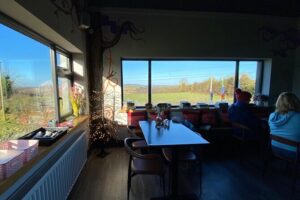 History & Heritage Tour: Kells, Trim, Loughcrew, Fore, Distillery - Fore Abbey: St Feichín and the Seven Wonders you’ll find