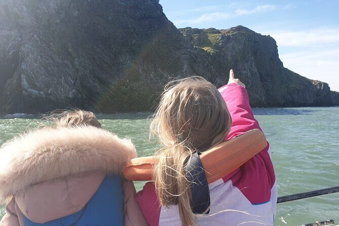 Howth Cliffs and Ireland's Eye Ferry Boat Tour - Howth Cliffs by sea: what 50–60 minutes really gives you
