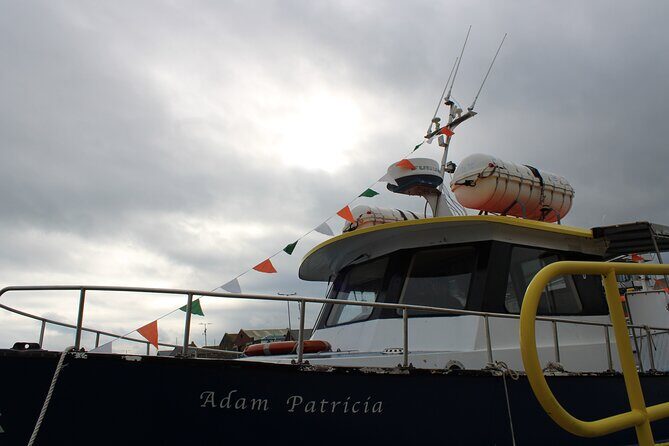 Howth Cliffs and Ireland's Eye Ferry Boat Tour - Ireland’s Eye loop: seals, seabirds, Martello Tower, and the Kirwan story