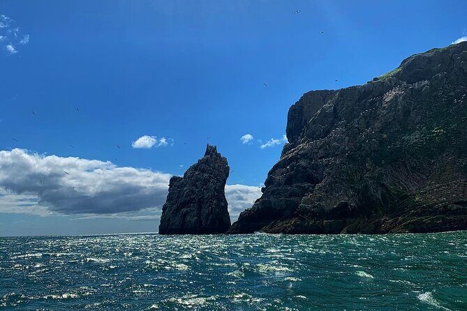 Howth Cliffs and Ireland's Eye Ferry Boat Tour - Live vs recorded narration: how the commentary experience feels