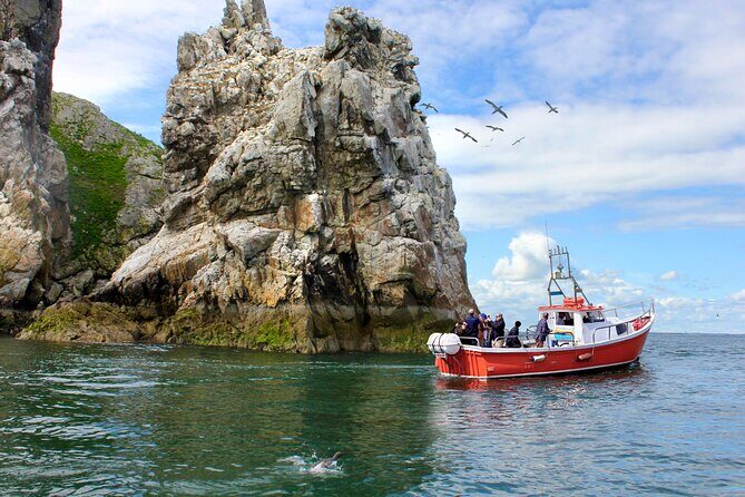 Howth Coastal Boat Tour (Ireland's Eye Ferries 50 mins trip) - Quick hits: what makes the Howth coastal boat tour special