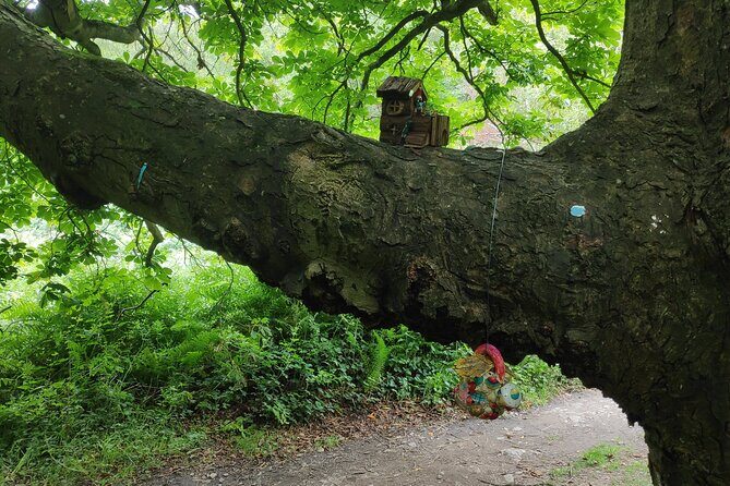 Howth Hiking Trail from Dublin: Mythology and Legend - Getting to Howth: the simple Dublin-to-peninsula start