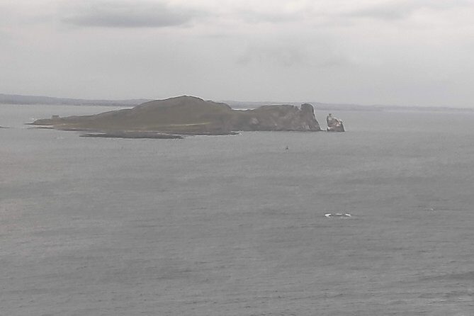 Howth Hiking Trail from Dublin: Mythology and Legend - Forest paths, picnic pause, and fairy-house photo stops