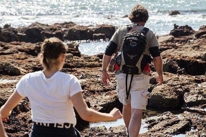 Howth Safari Hiking Tour - Bog of the Frogs and Shielmartin Hill: Dublin Bay without the crowds