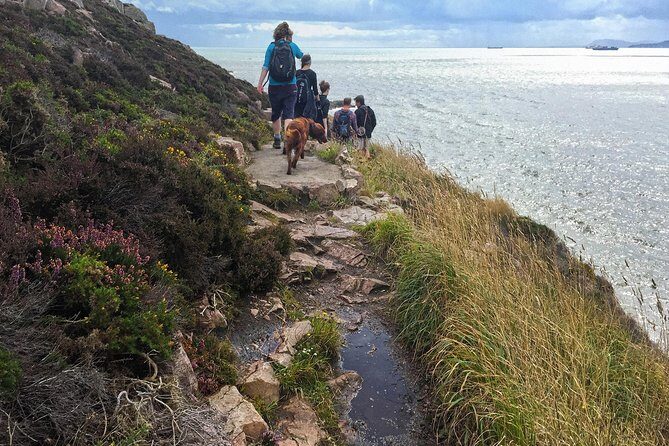 Howth Safari Hiking Tour - Doldrum Beach: the quieter coast moment