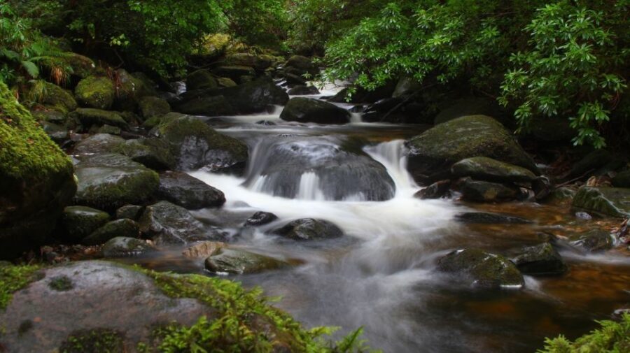 Ireland: 2 Day Wild Atlantic Way Tour - Cliffs of Moher Walk Time: Best Angles for Big Photos