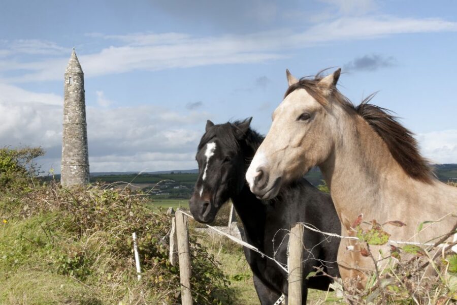 Ireland: Blarney Castle, Kilkenny & Irish Whiskey 3-Day Tour - Price and logistics: does $788 feel fair?