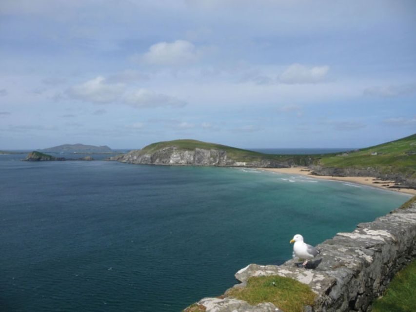 Ireland's North Atlantic Coast 5-Day Tour from Dublin - Should You Book This North Atlantic Coast Tour?