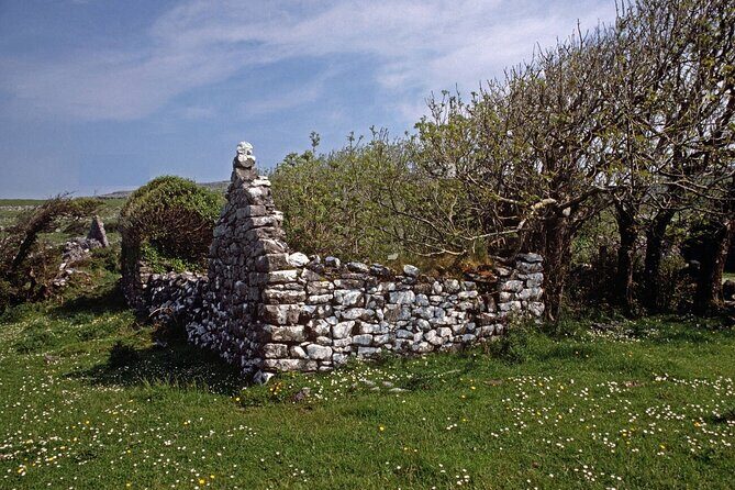 Irish Famine Museum / Exhibition Dublin - Price and value: what $18.15 buys you in real terms