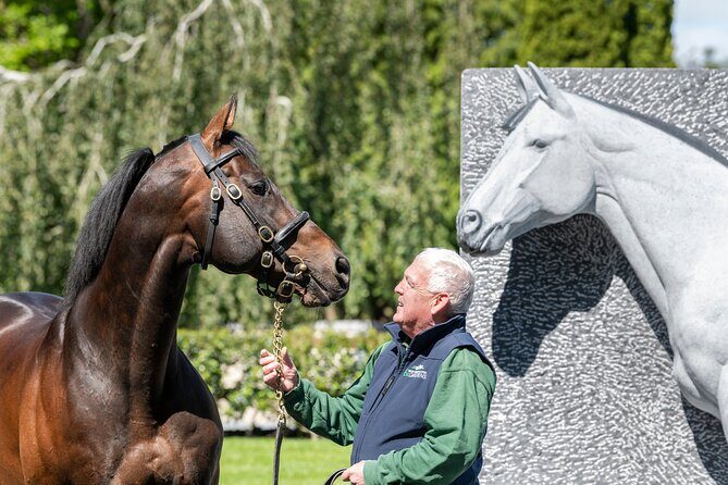 Irish National Stud & Gardens Skip the line Entrance - Getting There from Dublin: Close Enough for a True Day Trip