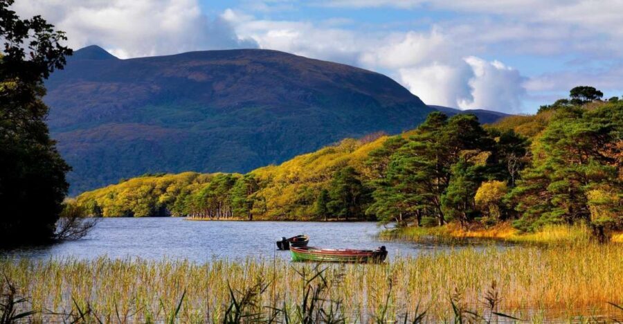 Kerry: Full-Day Tour from Dublin - Why This Dublin to Kerry Day Trip Feels Like a Shortcut