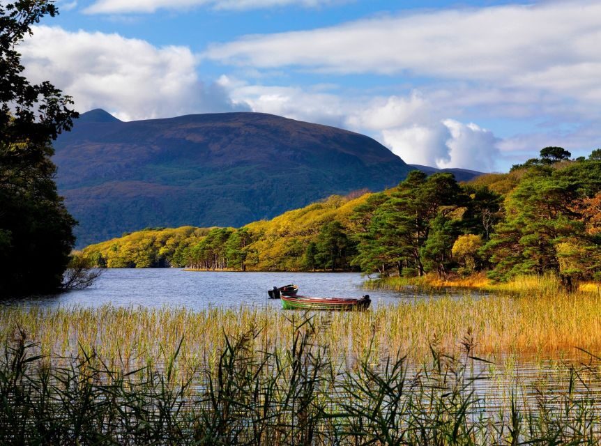 Kerry: Full-Day Tour from Dublin - Killorglin and the Puck Fair Goat-King Tradition