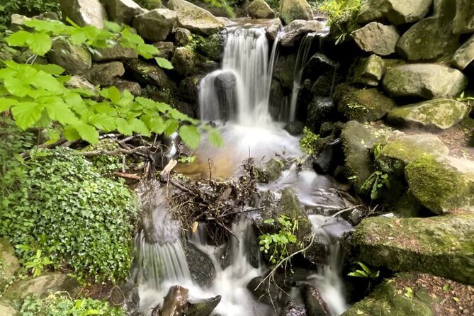 Private Garden of Ireland Wicklow Tour from Dublin - Key Things That Make This Wicklow Tour Worth It