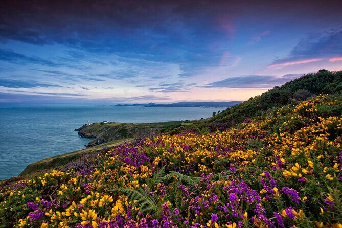Private Howth Coastal Walk - Great Baily Lighthouse View: History with Real Human Stakes
