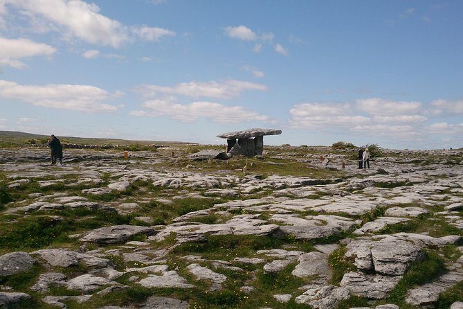 Private tour to the Cliffs of Moher guided in Spanish - Galway Bay panoramas and a quick castle view