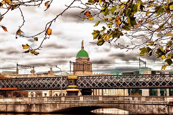Private Transfer: Dublin Airport DUB to Dublin by Luxury Van - Who This Transfer Fits Best