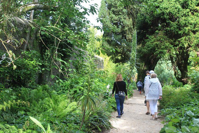 Private Wicklow Mountains Day Tour - National Botanic Gardens, Kilmacurragh: a quiet stretch before Dublin