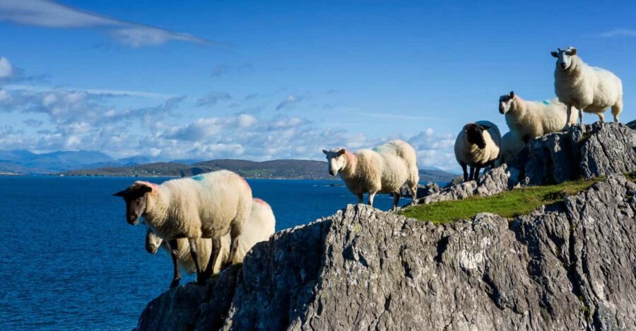 Private Wild Atlantic Day Tour from Cork - Key takeaways before you go