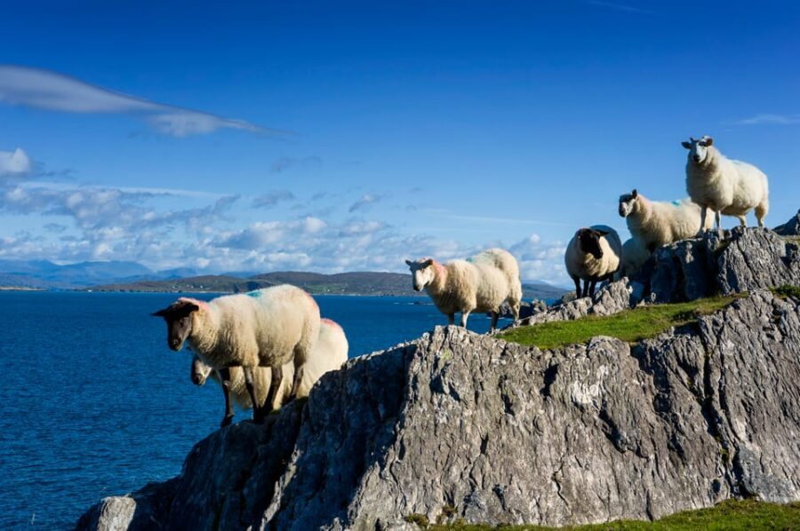 Private Wild Atlantic Day Tour from Cork - Why a private Wild Atlantic day works so well from Cork