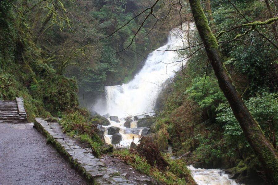 Private Wild Atlantic Day Tour from Cork - Coastal day options: Kinsale and Clonakilty