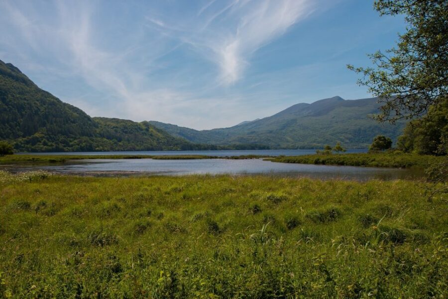 Rail Tour from Dublin: The Ring of Kerry - The Day’s Real Pace: Long Hours, Short Walks, and a Guide Who Stays With You