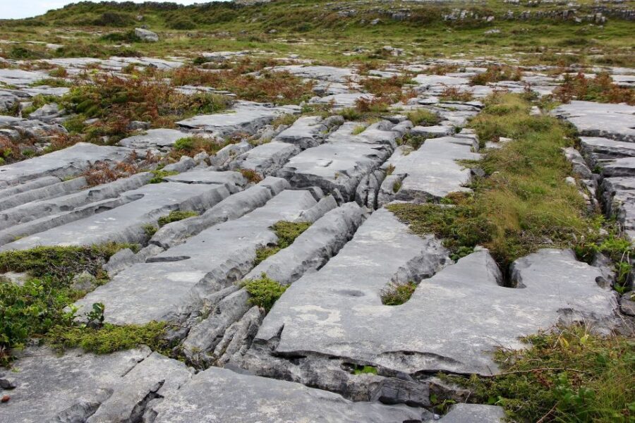 Rail Tour: The Cliffs of Moher & Bunratty Castle Tour - Key Highlights You’ll Care About