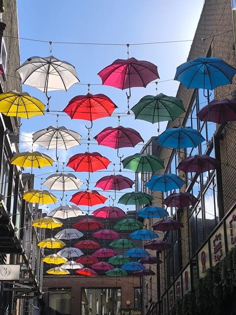 Secret and unusual Dublin: guided walking tour - Temple Bar street art and culture: beyond the nightlife postcards