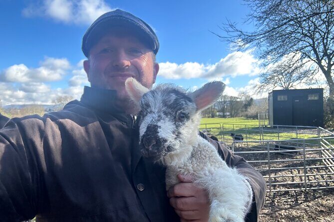 Sheepdogs in the countryside, authentic Dubliners city tour combo - Price, group size, and whether it’s good value