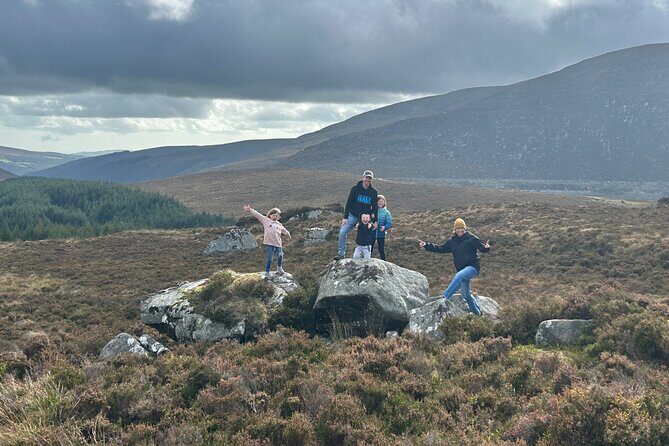 Sheepdogs in the countryside, authentic Dubliners city tour combo - Fishamble Street and the last remaining city gate feel