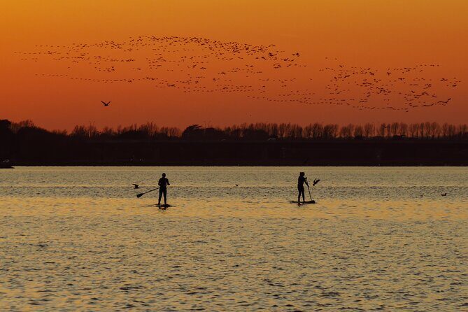 Sunset SUP experience in Malahide, Dublin - Key highlights before you go