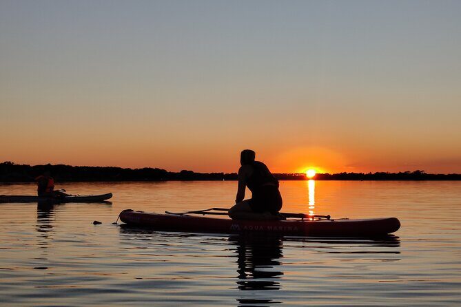 Sunset SUP experience in Malahide, Dublin - Getting in the Water: Falling, Resetting, and Self-Rescue Basics