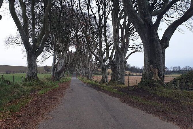 The Giant's Causeway, Dunluce Castel and Belfast - Spanish guide - What the 12 hours feel like in real life (pace, walking, and comfort)